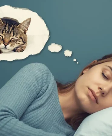 ruyada-tekir-kedi (2)