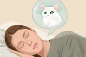 Rüyada Ankara Kedisi Görmek Ne Anlama Gelir?