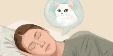 Rüyada Ankara Kedisi Görmek Ne Anlama Gelir?