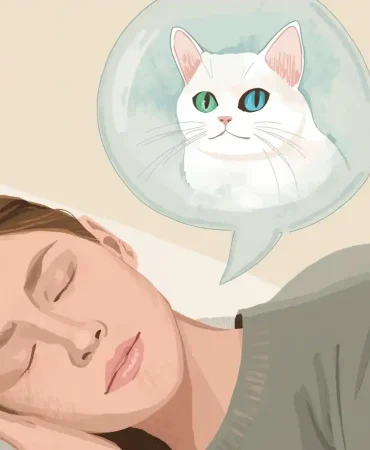 Rüyada Ankara Kedisi Görmek Ne Anlama Gelir?