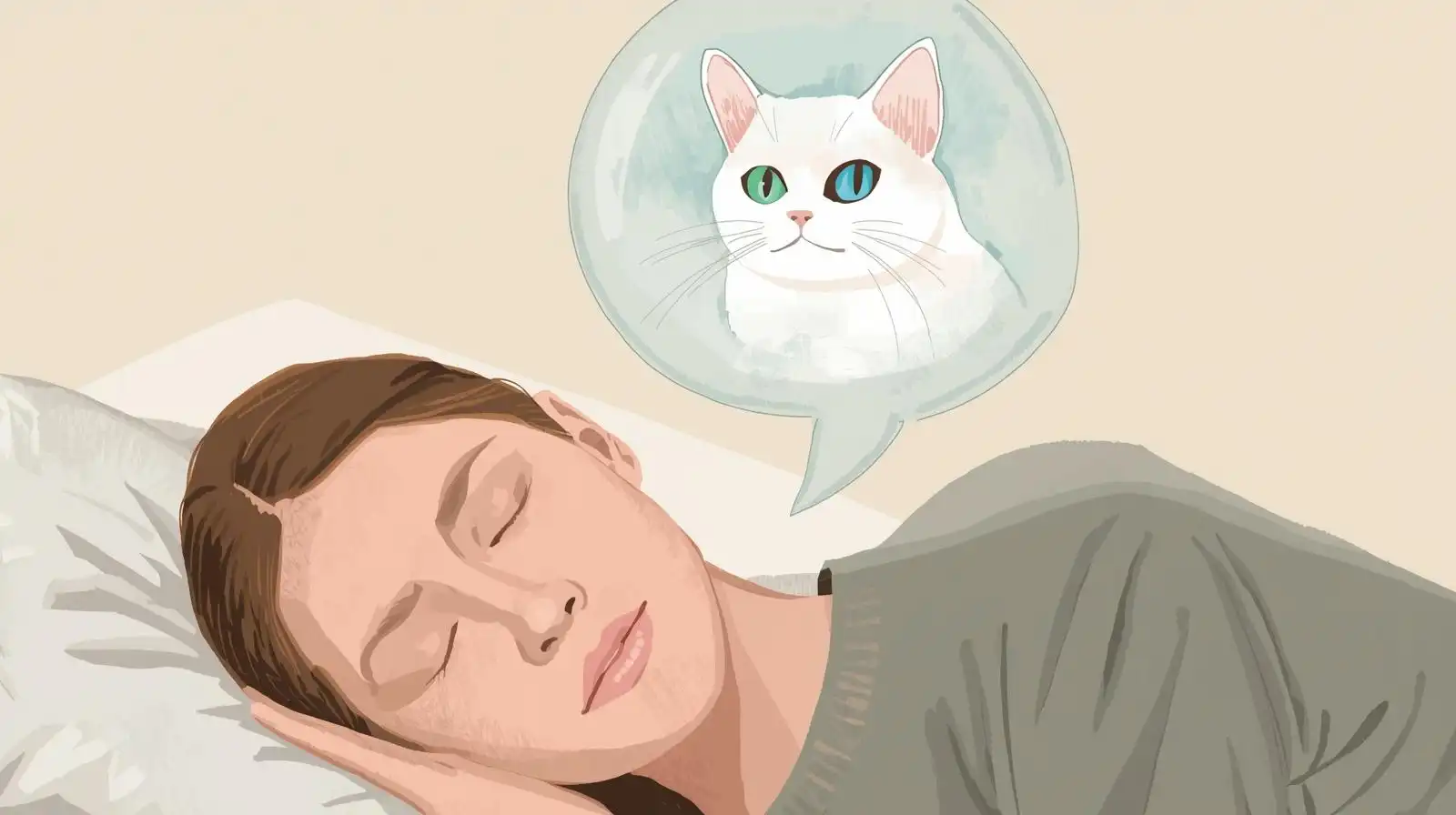 Rüyada Ankara Kedisi Görmek Ne Anlama Gelir?