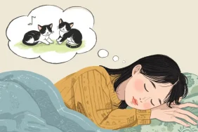 ruyada-yavru-kedi (1)