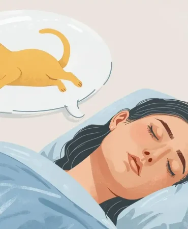 sari-turuncu-kedi (1)