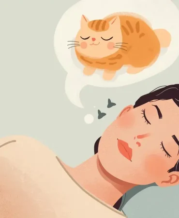 sari-turuncu-kedi (2)