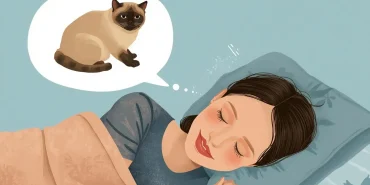 scottish-fold-kedi (3)