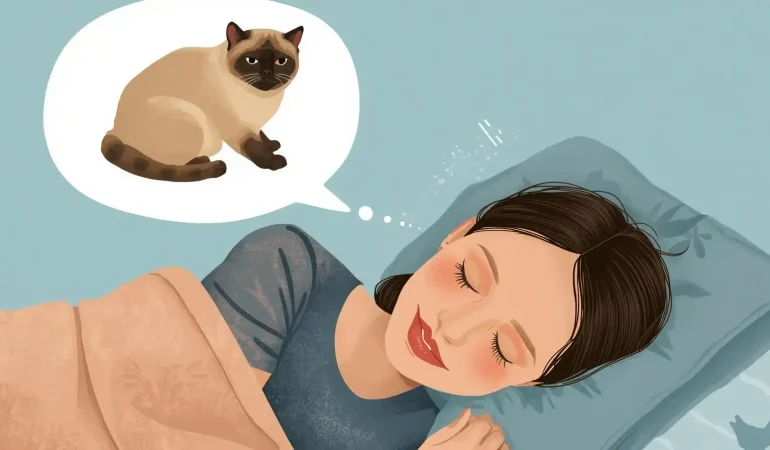 scottish-fold-kedi (3)