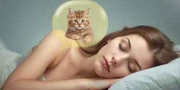 Rüyada Yavru Sarı Kedi Görmek Ne Anlama Gelir?