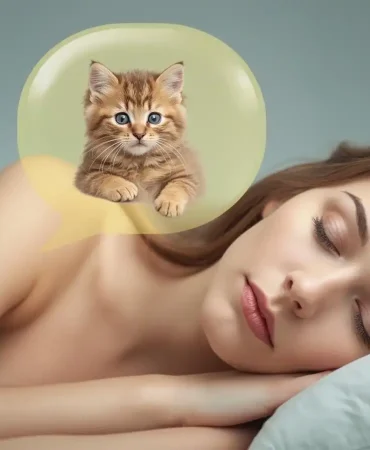 Rüyada Yavru Sarı Kedi Görmek Ne Anlama Gelir?