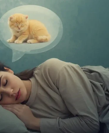 Rüyada Yavru Turuncu Kedi Görmek Ne Anlama Gelir?