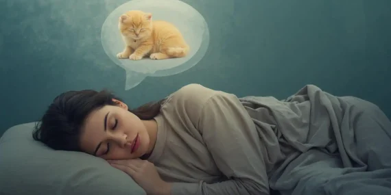 Rüyada Yavru Sarı Kedi Görmek Ne Anlama Gelir?