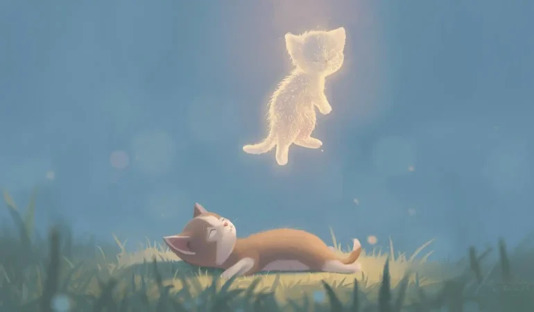 Rüyada Yavru Kedi Öldürmek Ne Anlama Gelir?