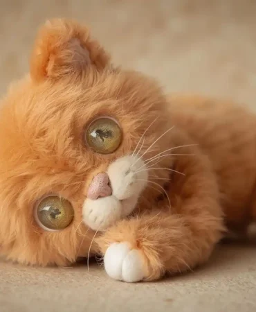 Rüyada Yavru Oyuncak Kedi Görmek Ne Anlama Gelir?