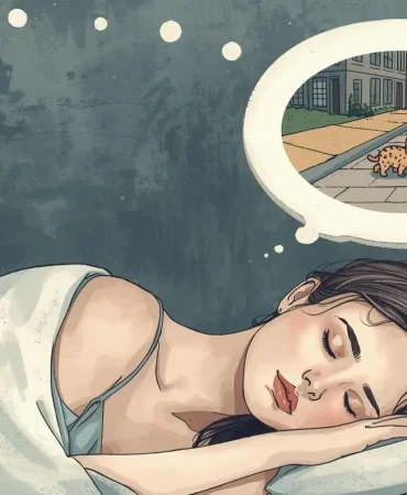 Rüyada Sokakta Yavru Kedi Görmek Ne Anlama Gelir?