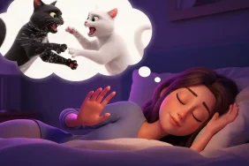 kedi-kavgasi-ayirmak (1)