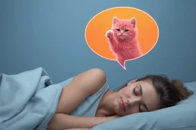 ruyada-pembe-yavru-kedi-gormek