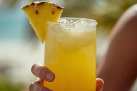ananas-suyu (1)