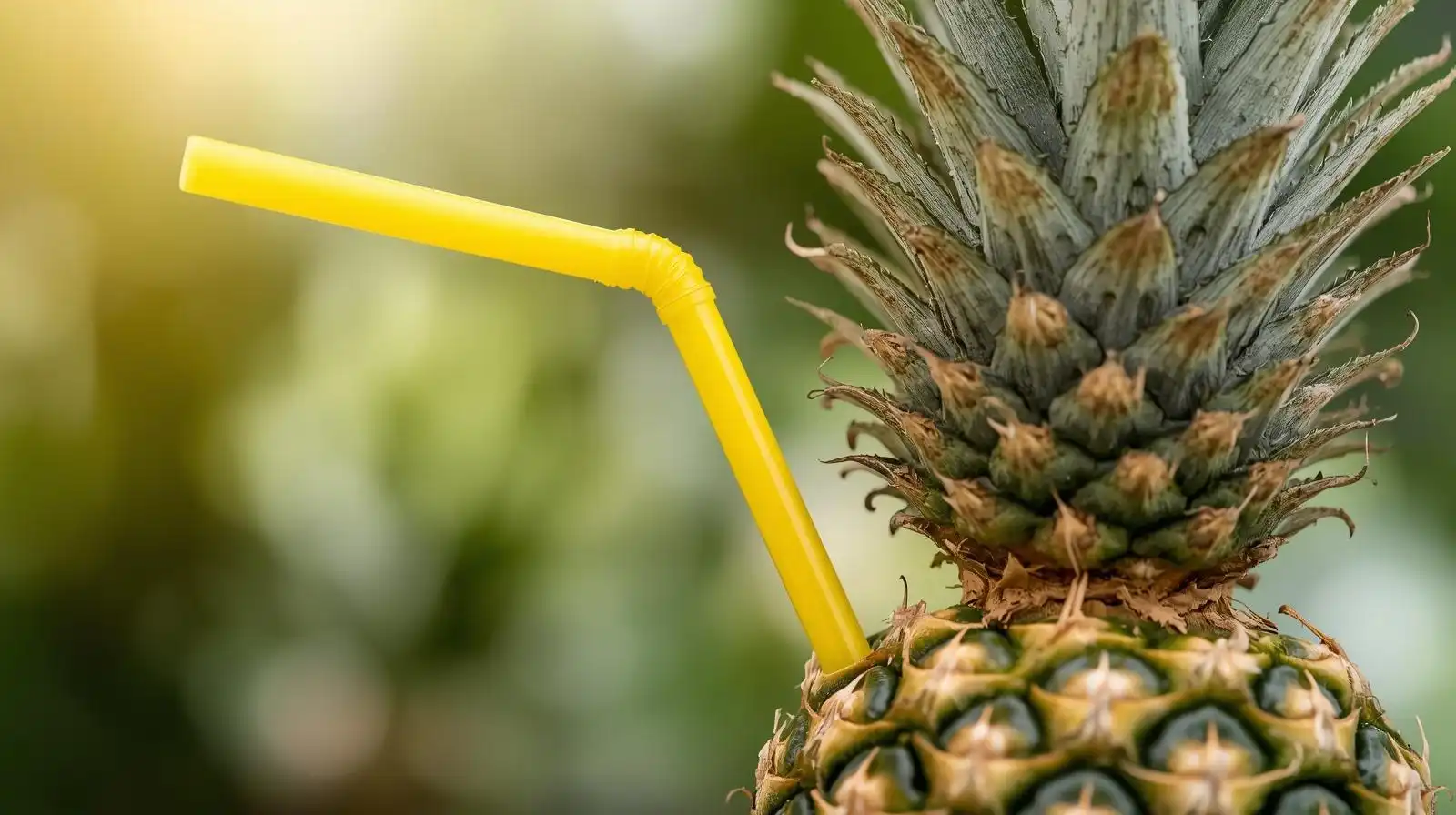 Rüyada Ananas Suyu İçmek Ne Anlama Gelir?