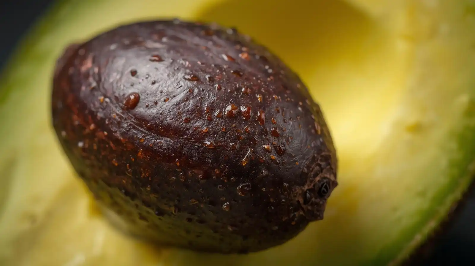 Rüyada Avokado Çekirdeği Görmek Ne Anlama Gelir?