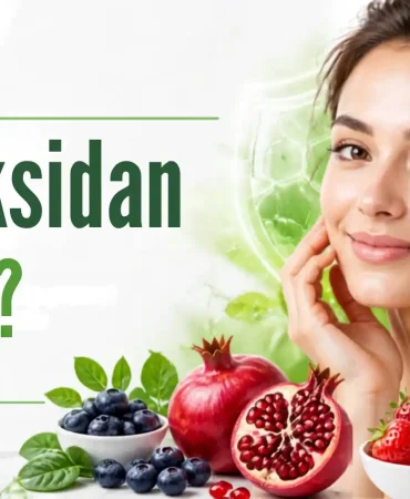 antioksidan-nedir
