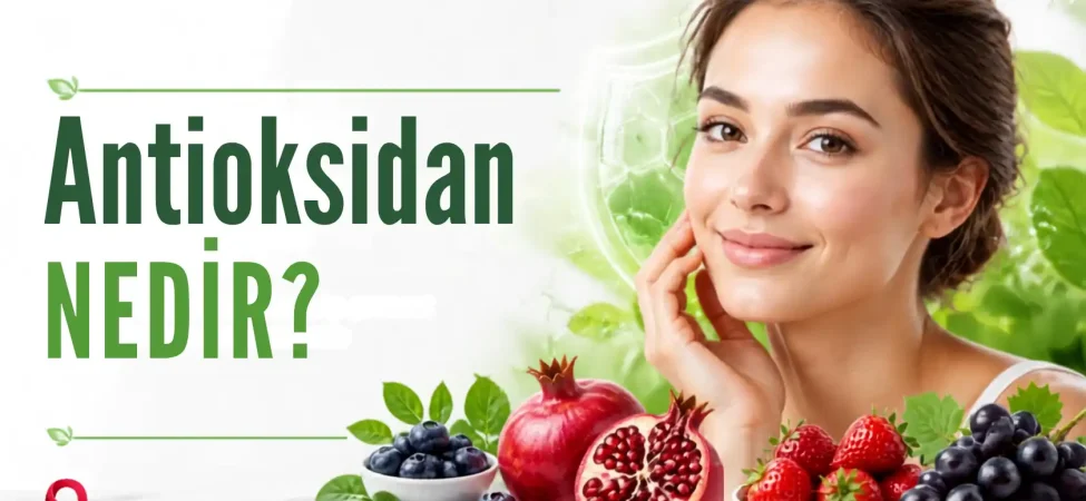 antioksidan-nedir
